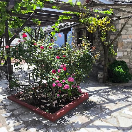 Venus Guesthouse بورتاريا المظهر الخارجي الصورة